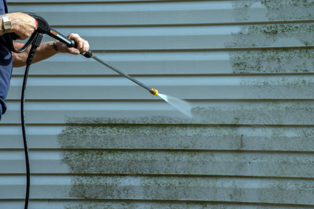 Best Roof Washing  in Burlington, WA